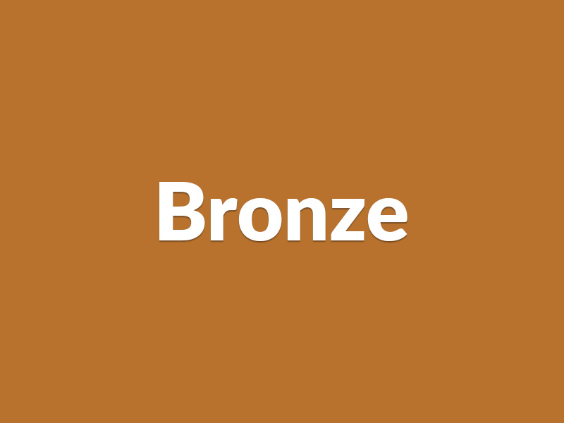 Bronze Sponsor