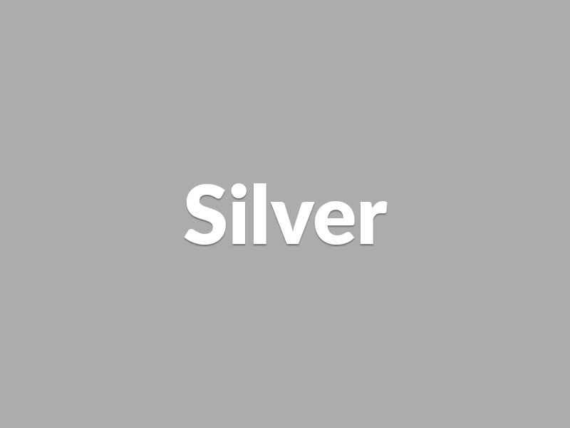 Silver Sponsor