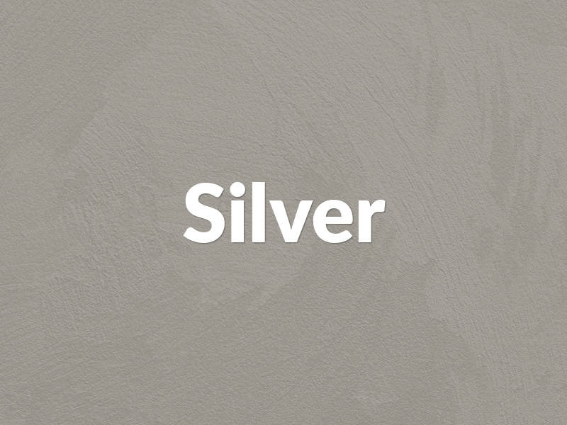 Silver Sponsor
