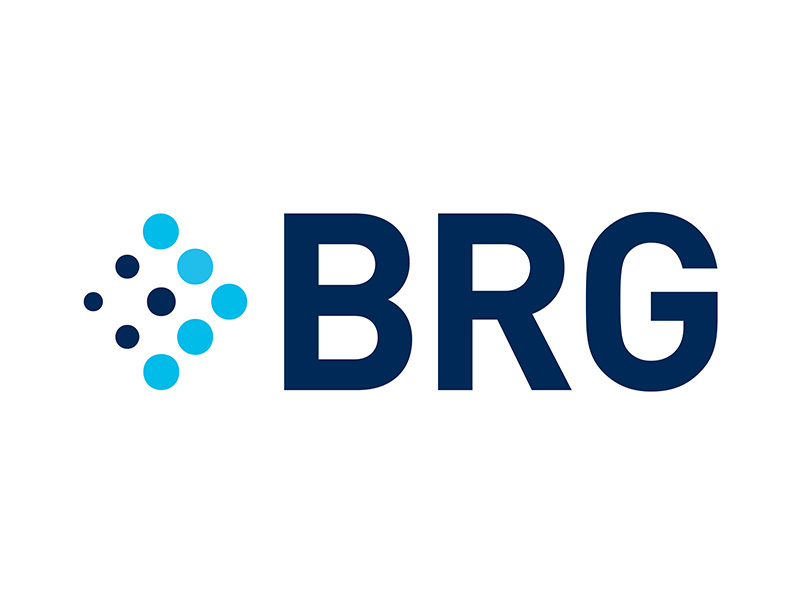 Berkeley Research Group